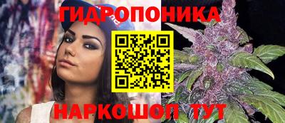 прущая мука Дубна