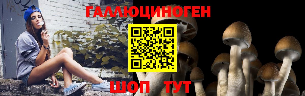 Псилоцибиновые грибы мицелий  где продают наркотики  Галлюциногенные грибы мухоморы  Магадан  Вход с VPN 